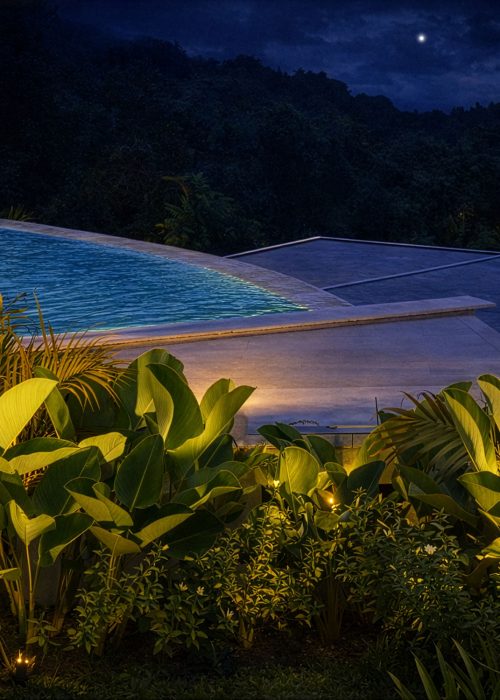 Outdoor-Night-Ambiance-garden